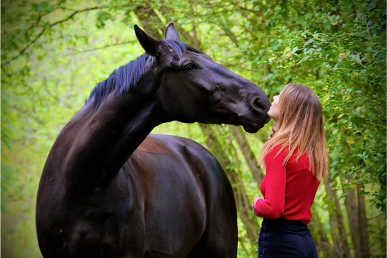 A propos, Cheval, Olivia, Equin, valorisation, problème comportementaux,